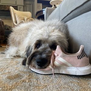 Meet your Posher, Madison